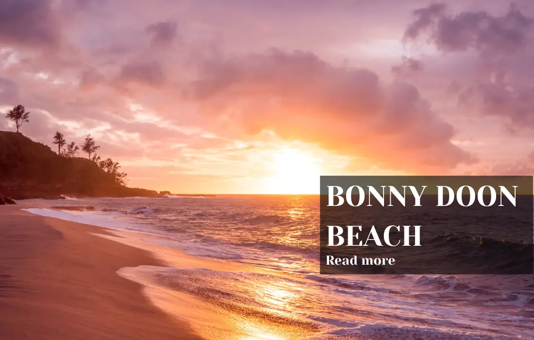 Bonny Doon Beach