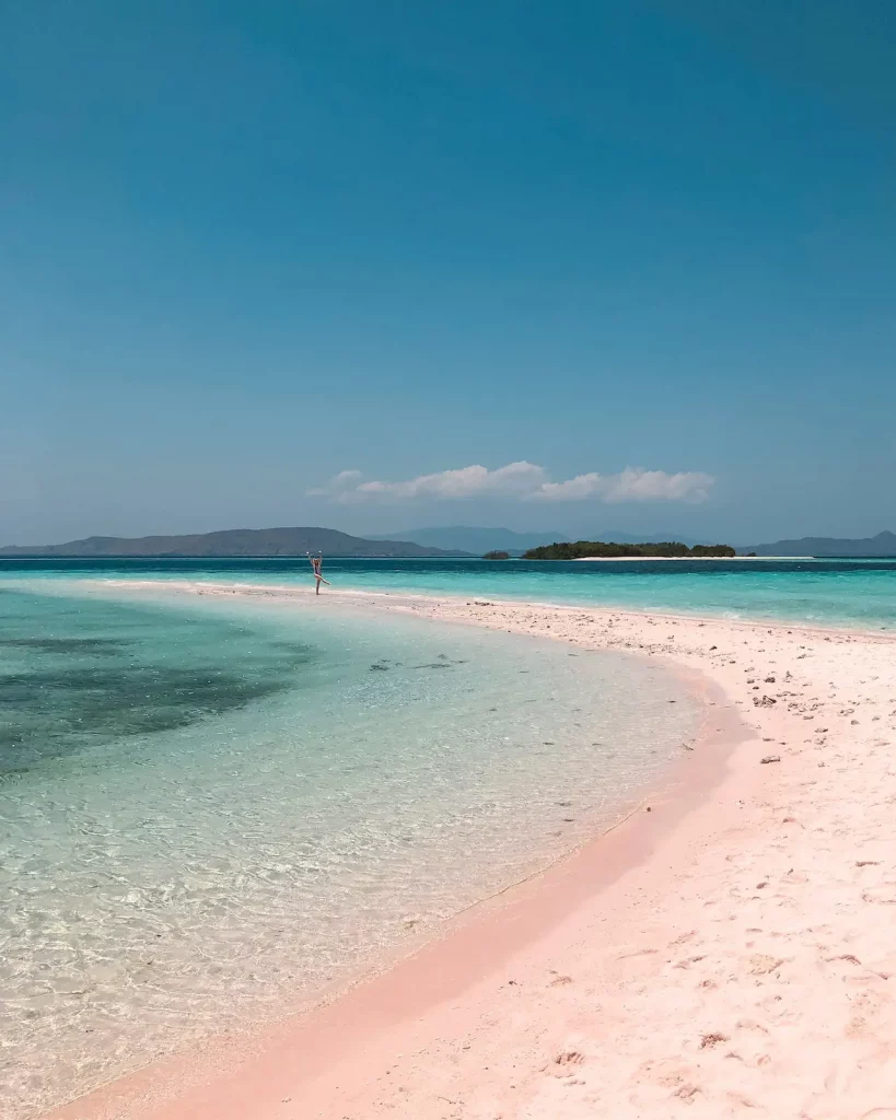 Pink Beach Komodo Island