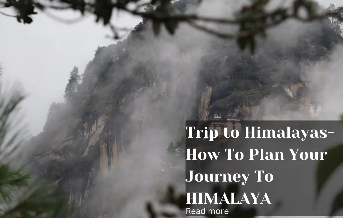 Trip to Himalayas